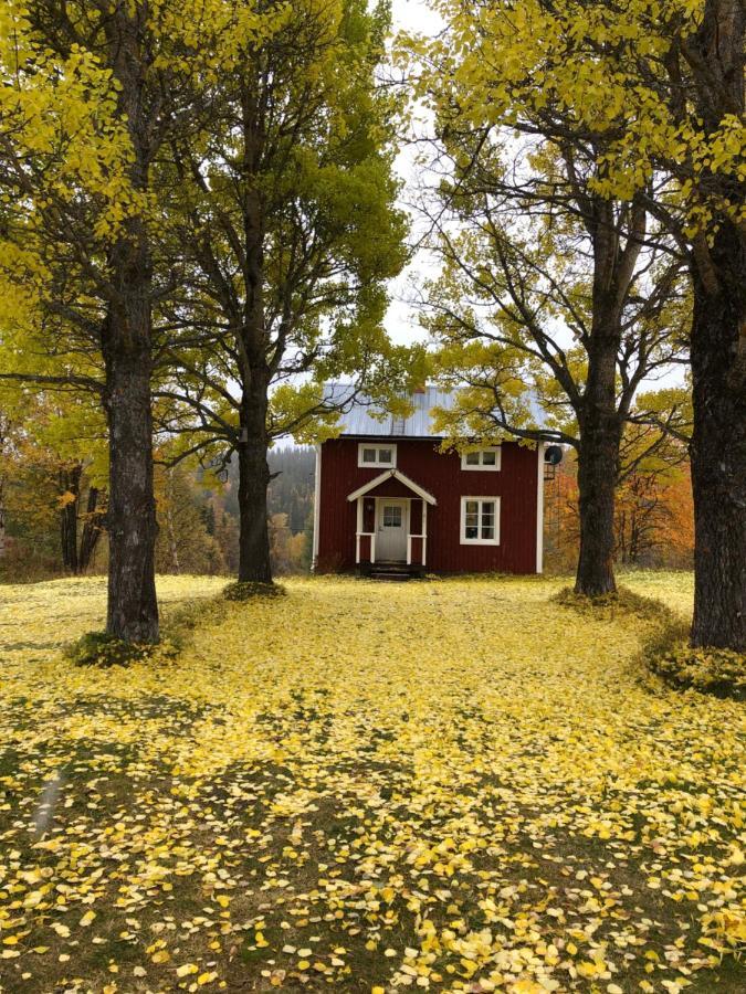 Valagardens Vaerdshus Och Camping Ab Vålådalen Exterior foto